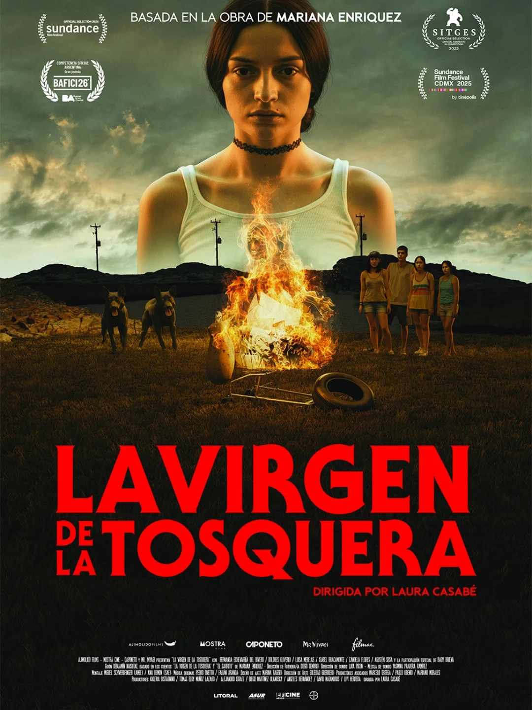 La virgen de la tosquera (The Virgin of the Quarry Lake)
