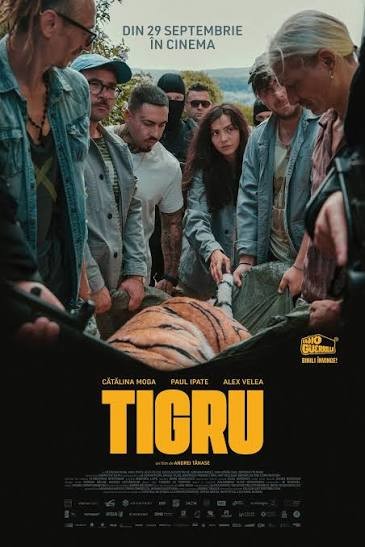 Tigru Tigru