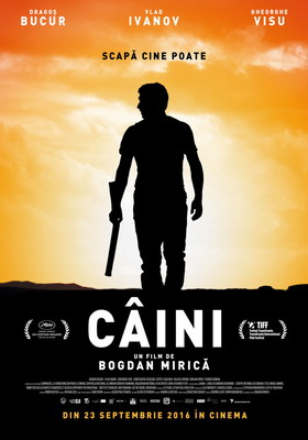 Câini Câini