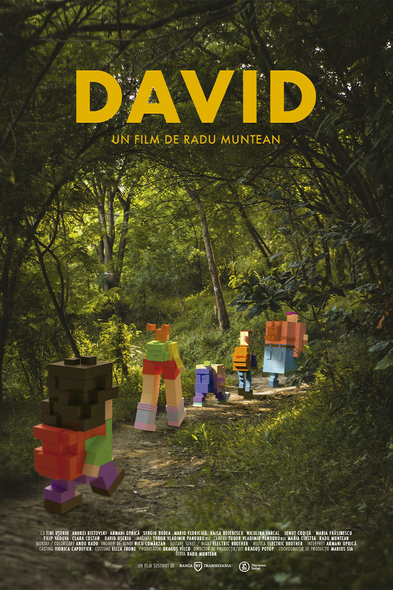 David David
