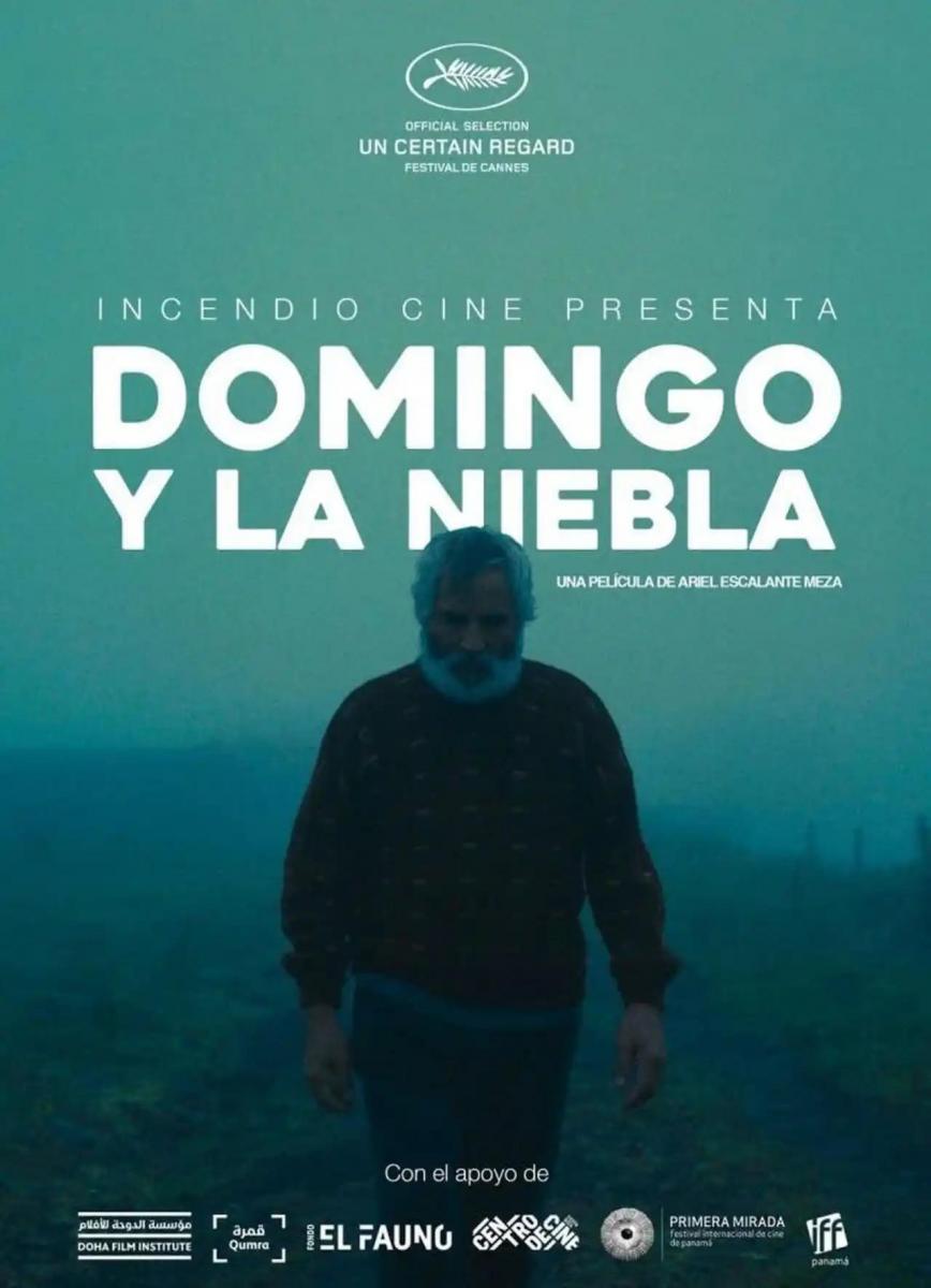 Domingo y la niebla Domingo y la niebla