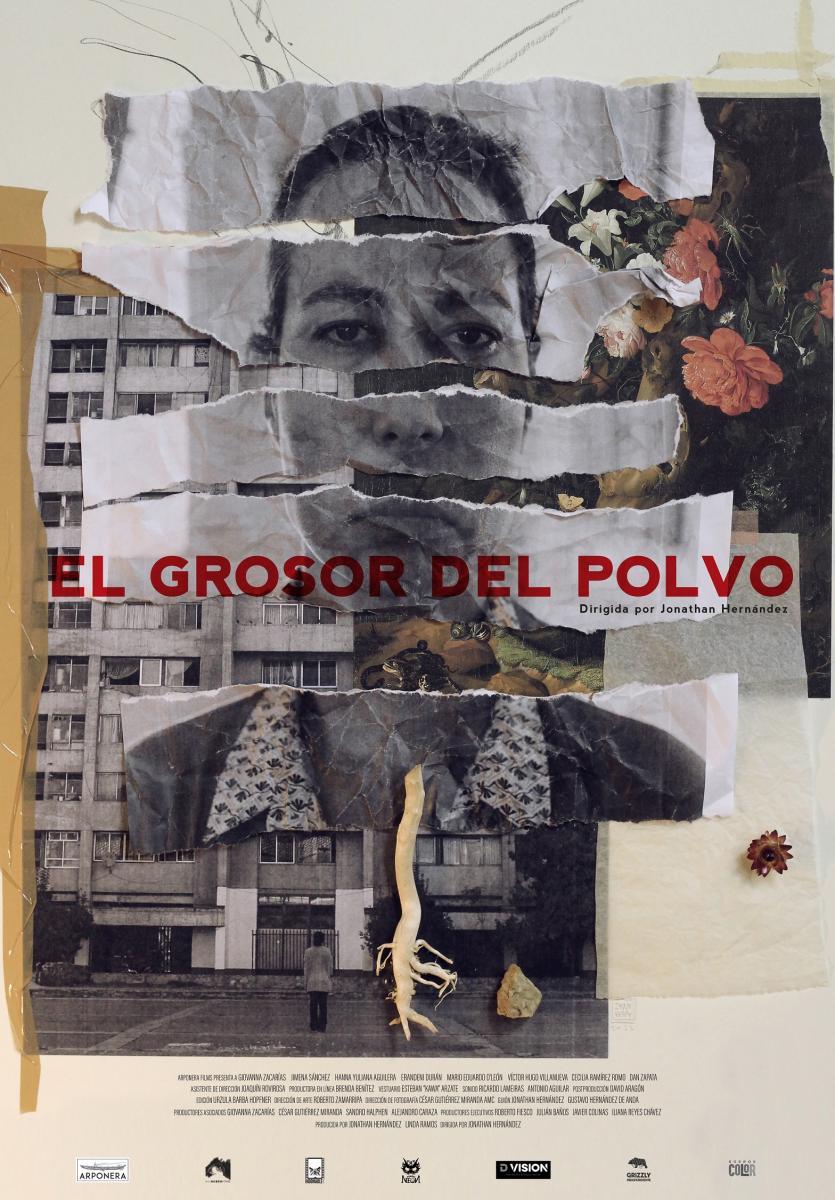 El grosor del polvo El grosor del polvo