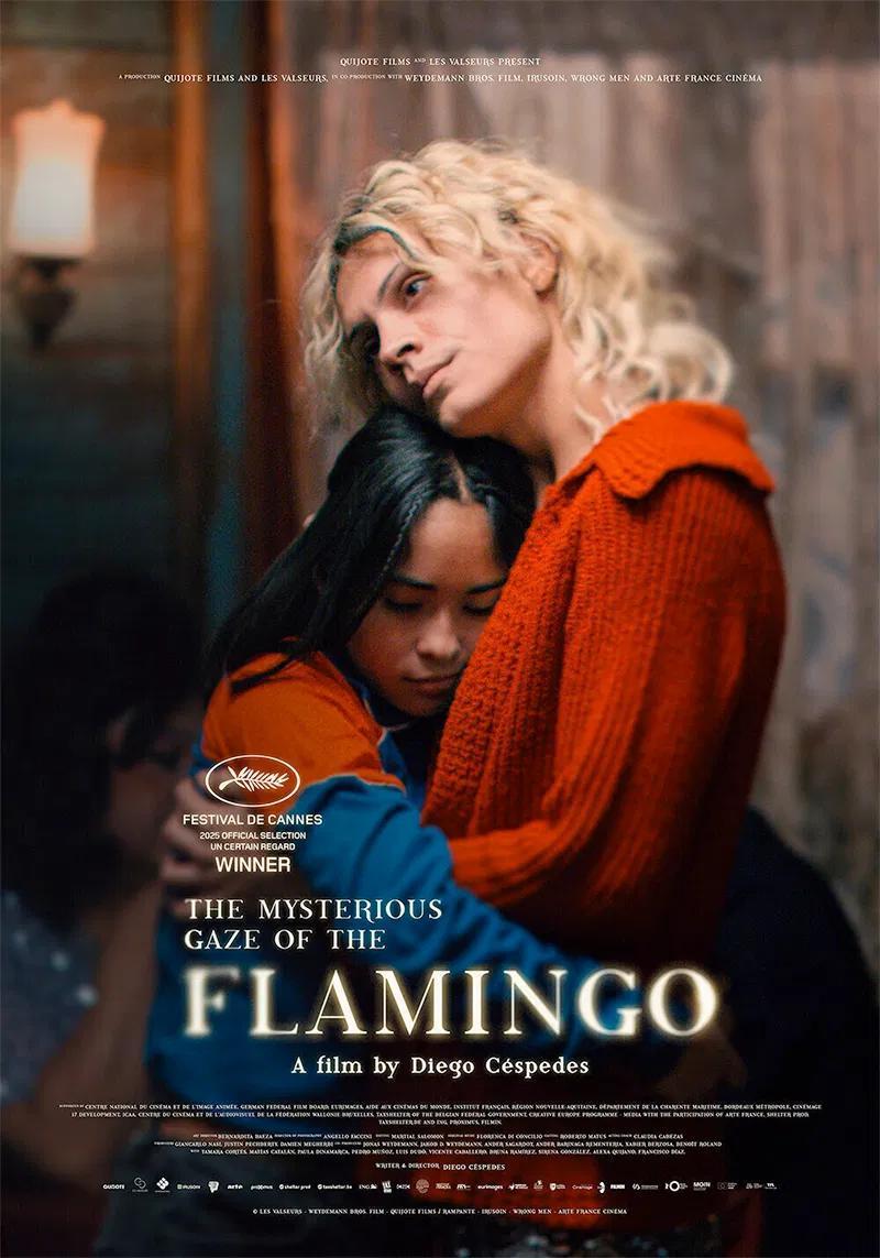 La mirada misteriosa del flamenco La mirada misteriosa del flamenco